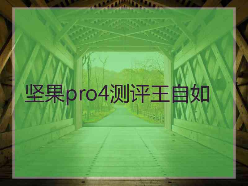 坚果pro4测评王自如