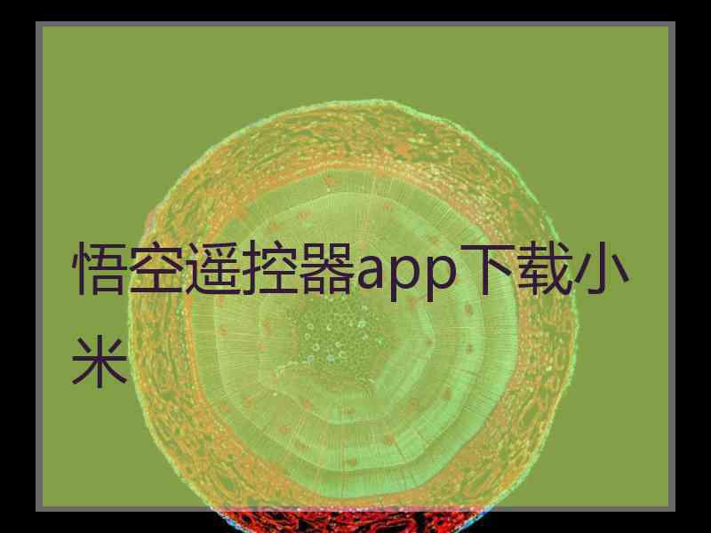 悟空遥控器app下载小米