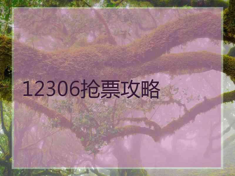 12306抢票攻略