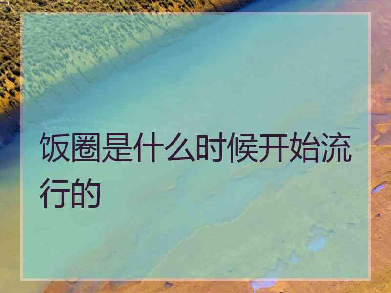 饭圈是什么时候开始流行的