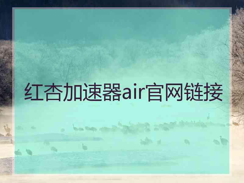 红杏加速器air官网链接