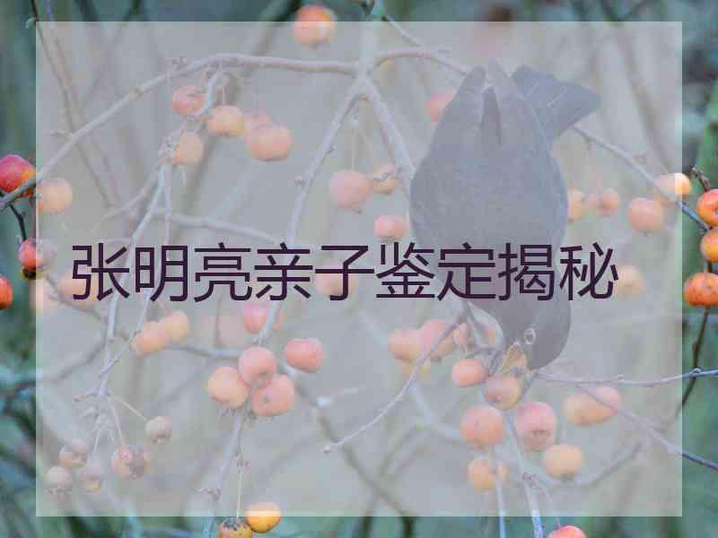 张明亮亲子鉴定揭秘