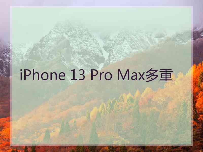 iPhone 13 Pro Max多重