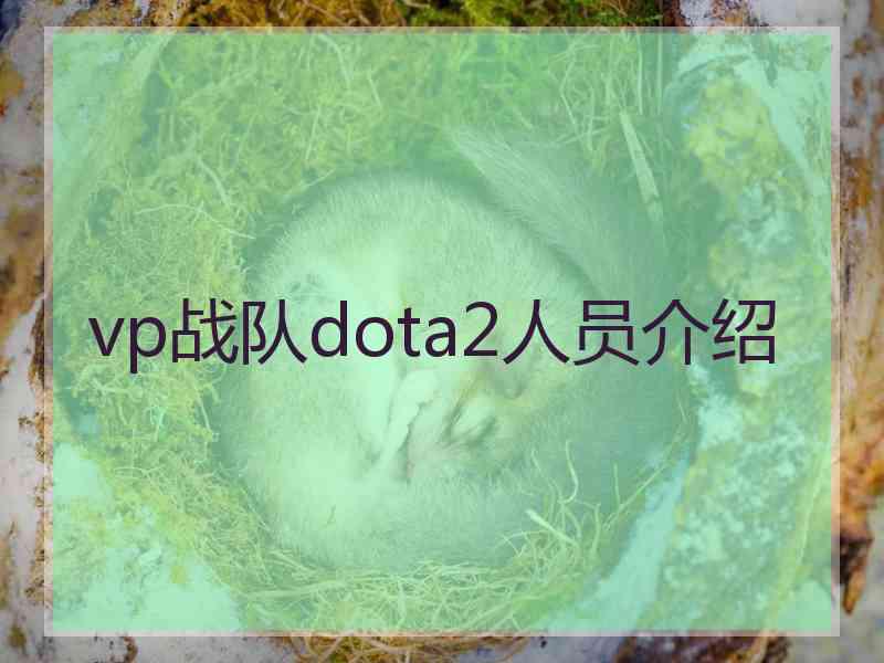 vp战队dota2人员介绍