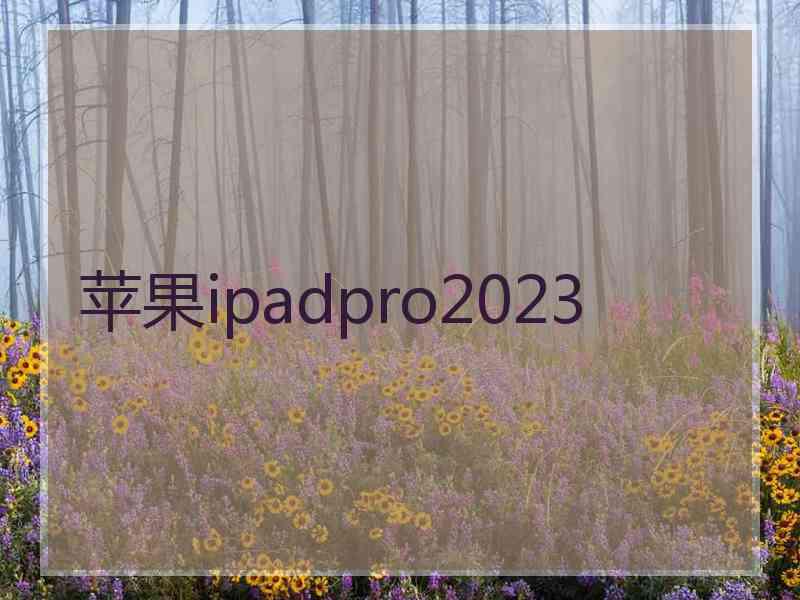 苹果ipadpro2023