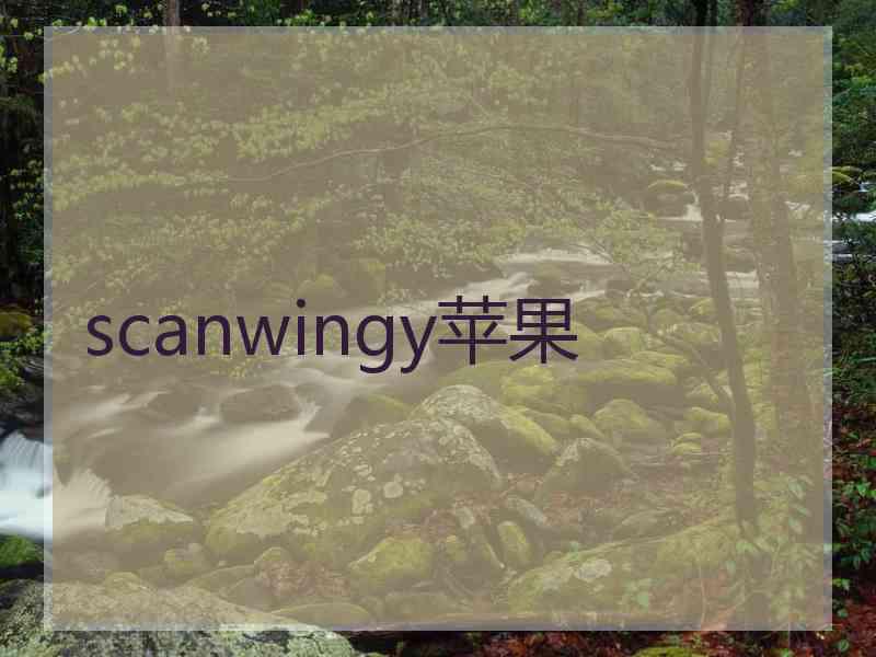 scanwingy苹果