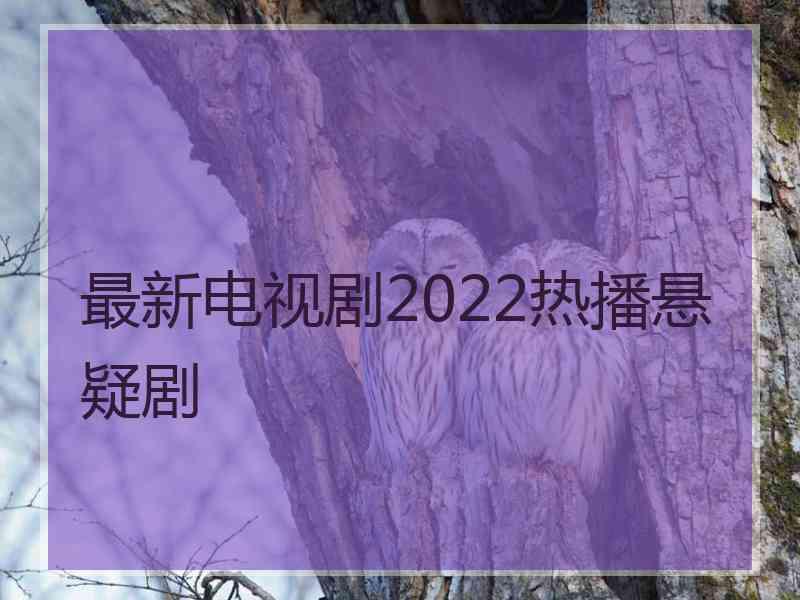 最新电视剧2022热播悬疑剧