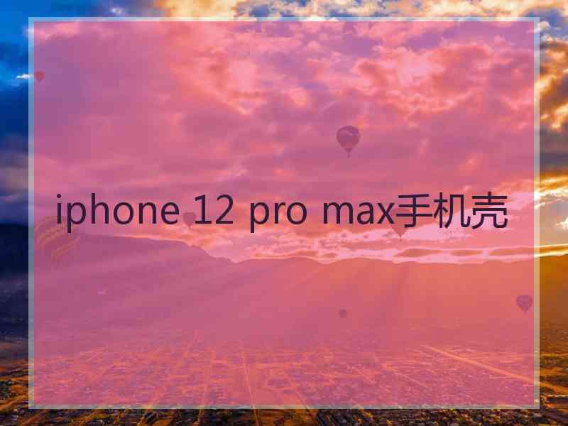 iphone 12 pro max手机壳