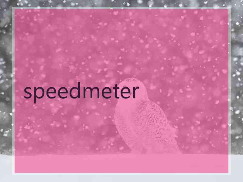 speedmeter