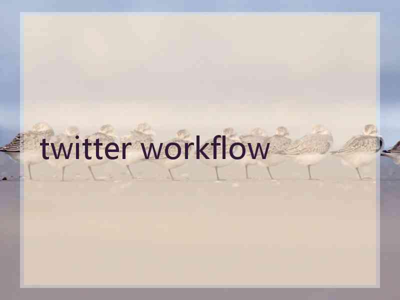 twitter workflow