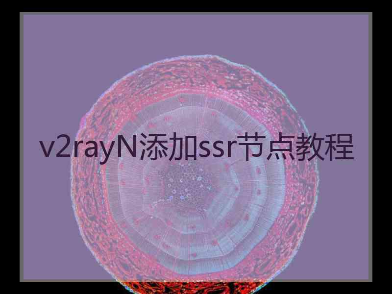 v2rayN添加ssr节点教程