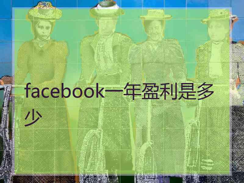 facebook一年盈利是多少