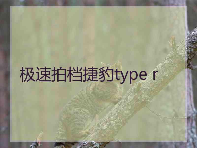 极速拍档捷豹type r