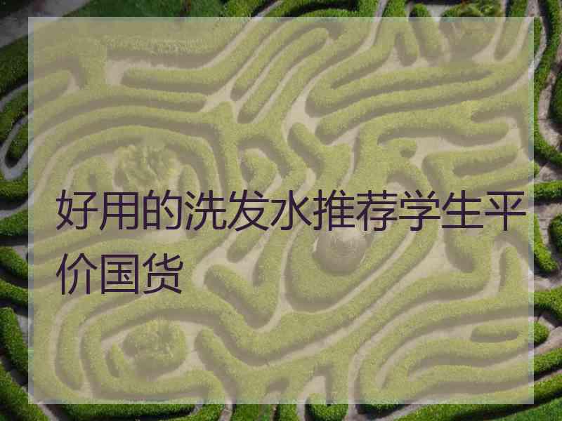 好用的洗发水推荐学生平价国货