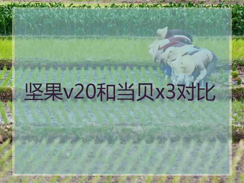 坚果v20和当贝x3对比