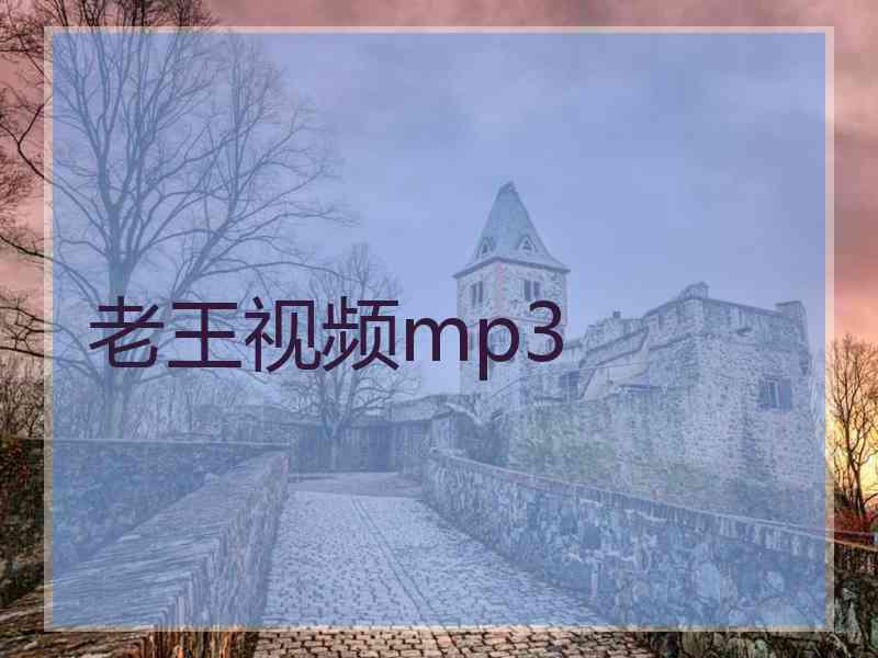 老王视频mp3