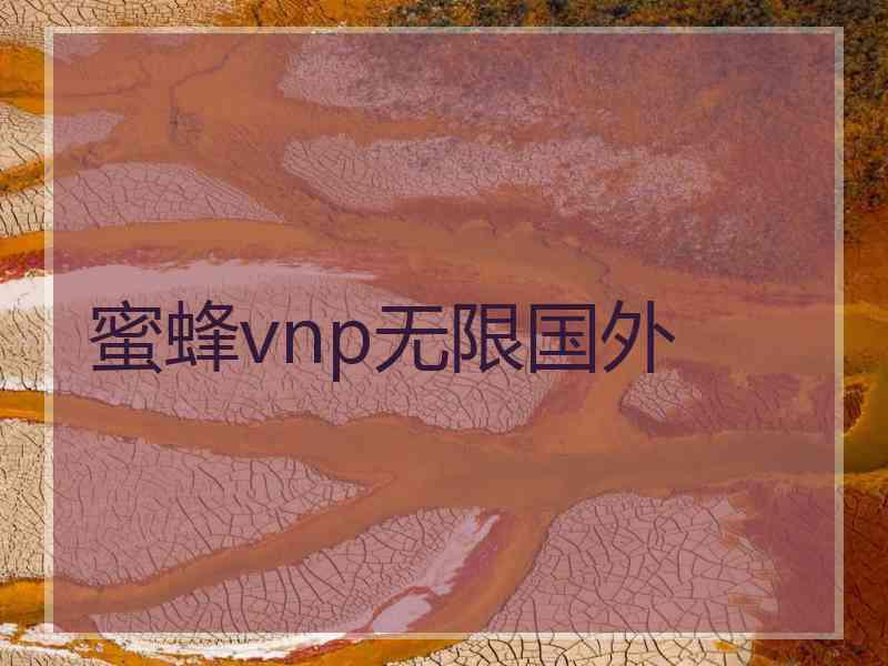 蜜蜂vnp无限国外