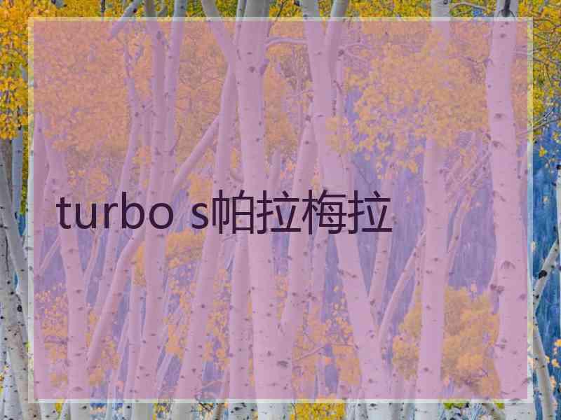 turbo s帕拉梅拉