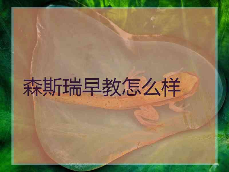 森斯瑞早教怎么样