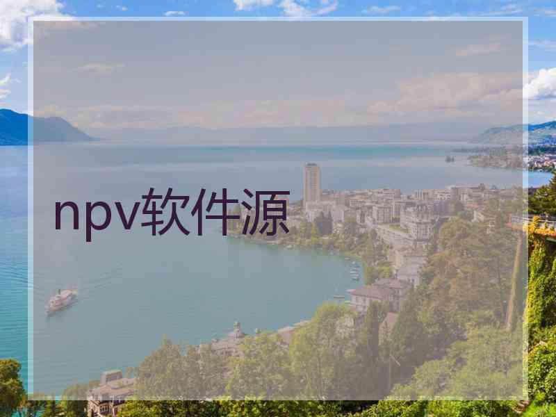 npv软件源