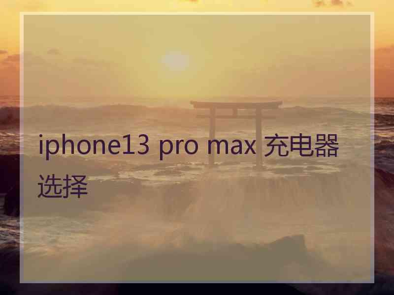 iphone13 pro max 充电器选择