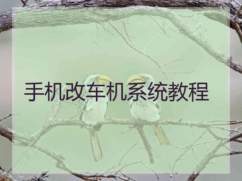 手机改车机系统教程