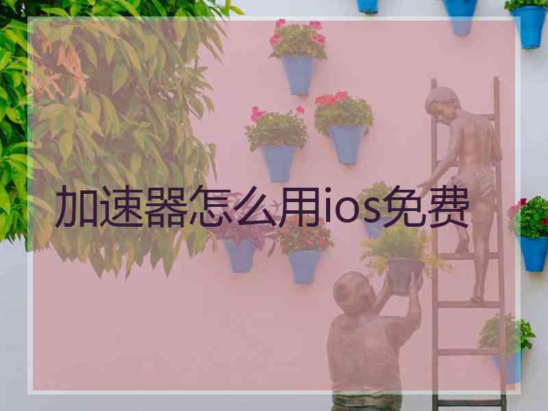 加速器怎么用ios免费