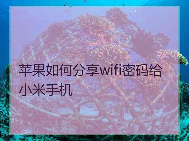 苹果如何分享wifi密码给小米手机