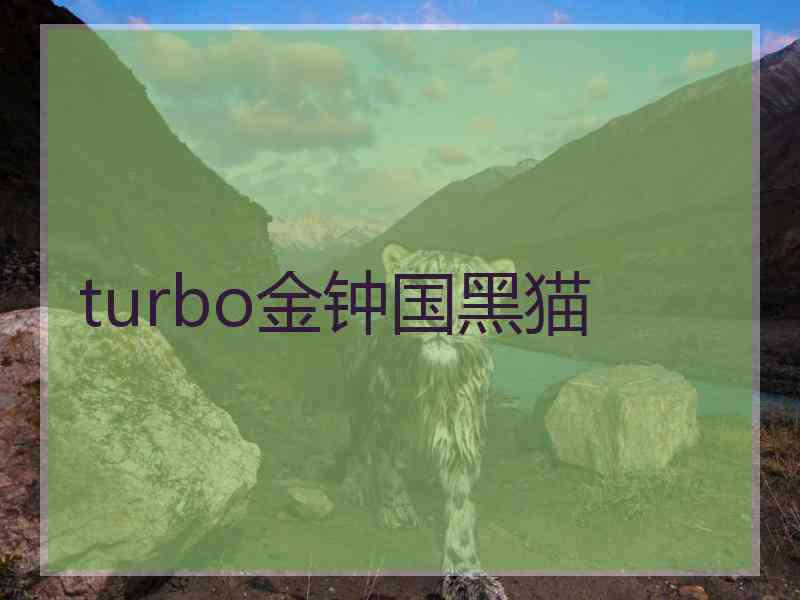 turbo金钟国黑猫