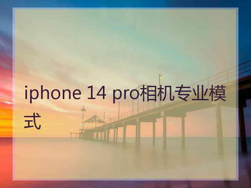 iphone 14 pro相机专业模式