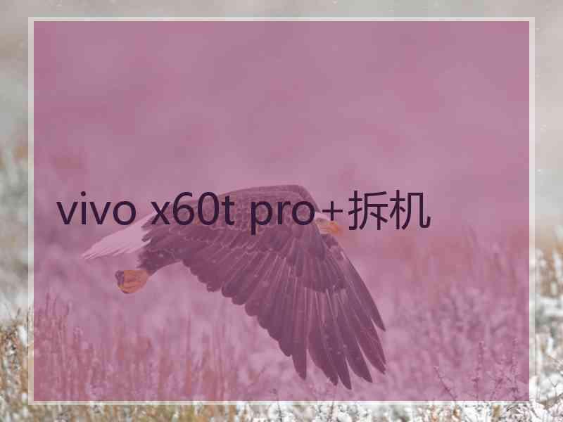 vivo x60t pro+拆机