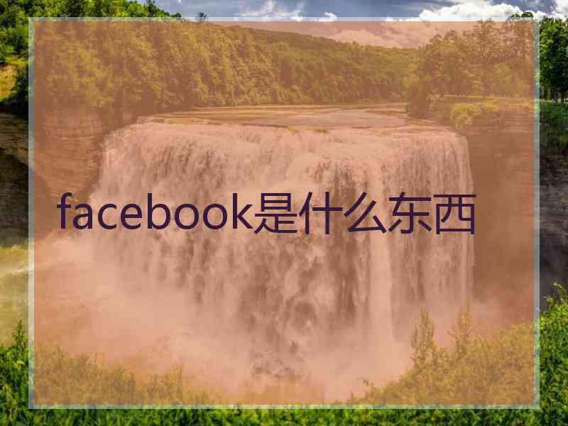 facebook是什么东西