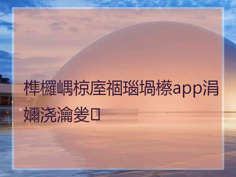 榫欏嵎椋庢祻瑙堝櫒app涓嬭浇瀹夎