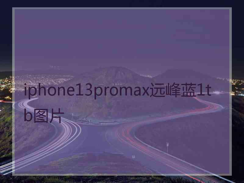 iphone13promax远峰蓝1tb图片