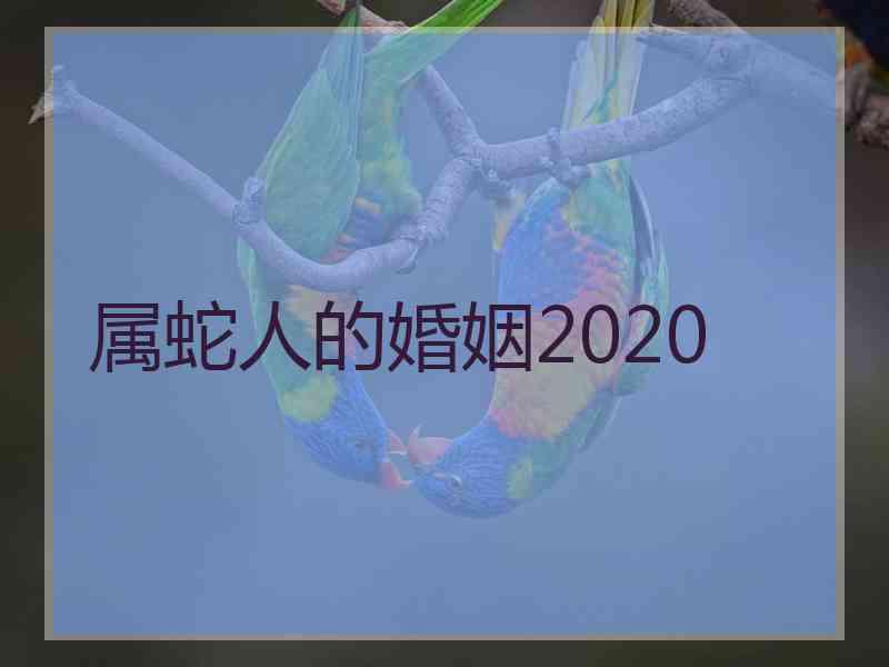 属蛇人的婚姻2020