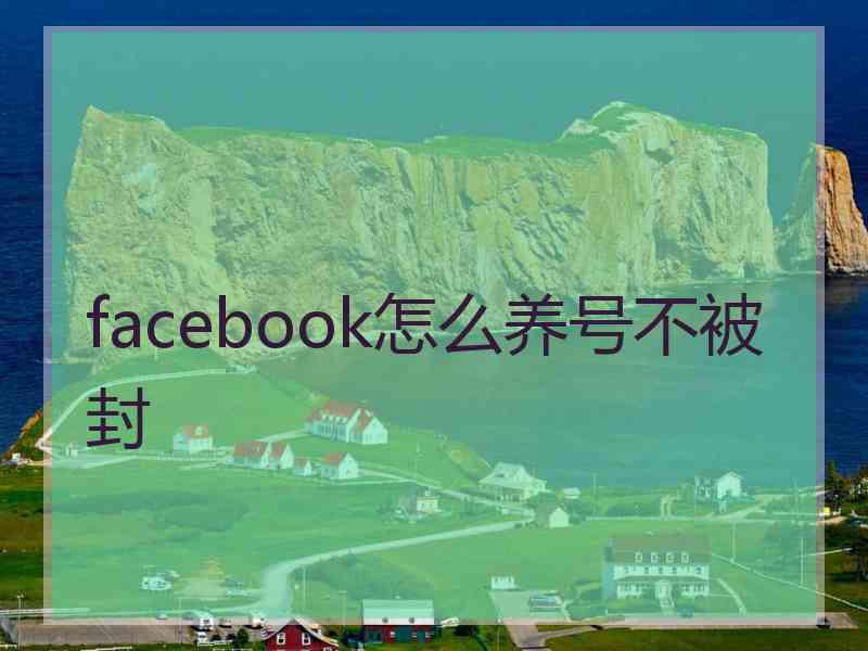 facebook怎么养号不被封