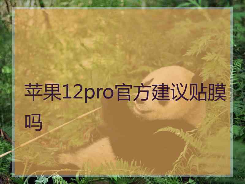 苹果12pro官方建议贴膜吗