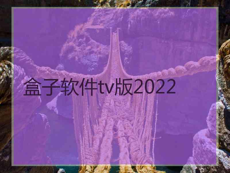 盒子软件tv版2022