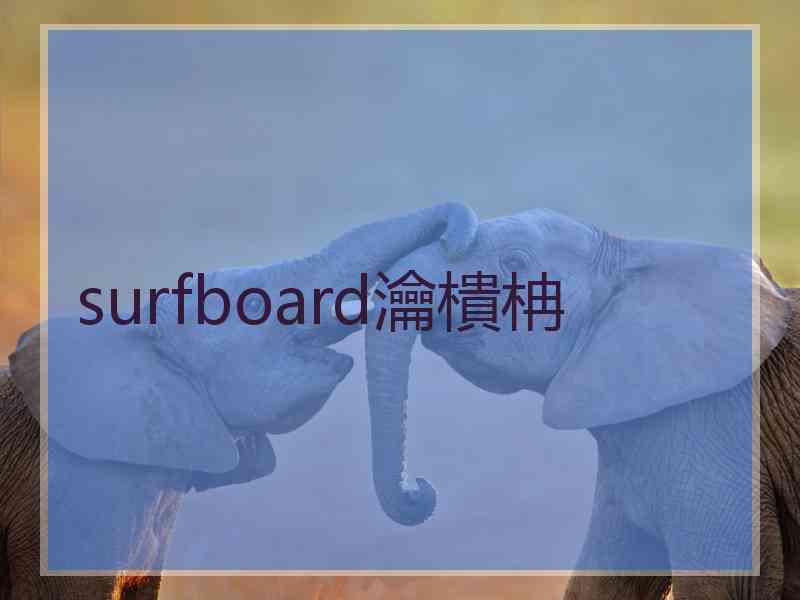 surfboard瀹樻柟