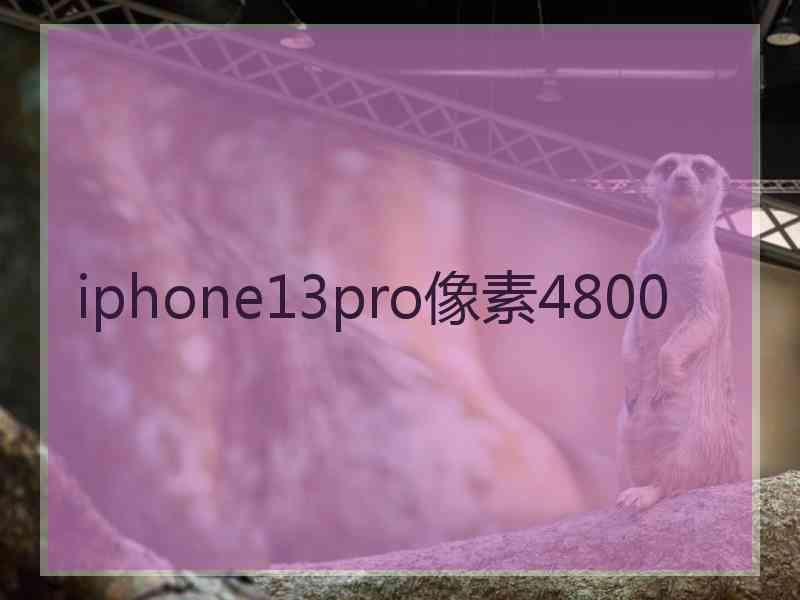 iphone13pro像素4800