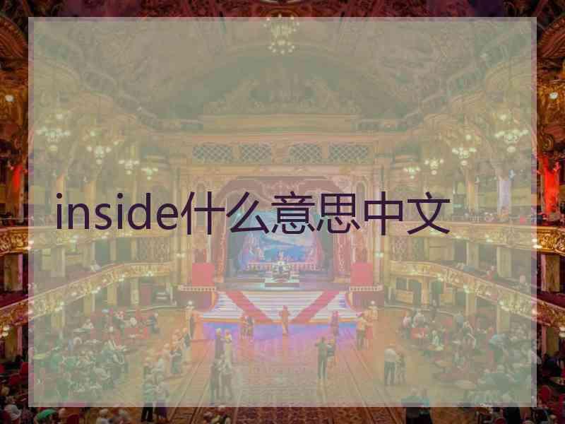 inside什么意思中文