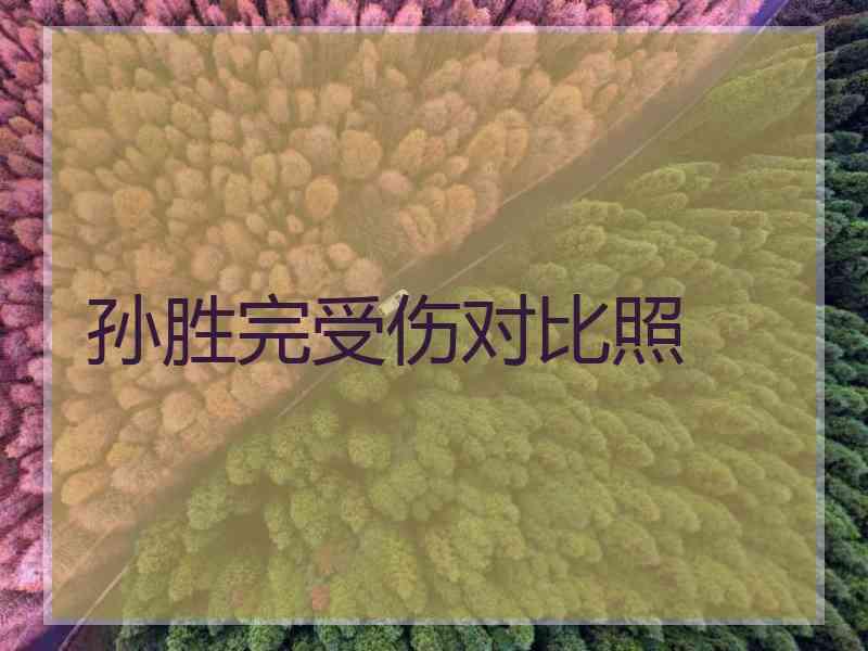 孙胜完受伤对比照