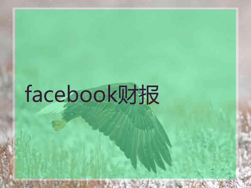 facebook财报