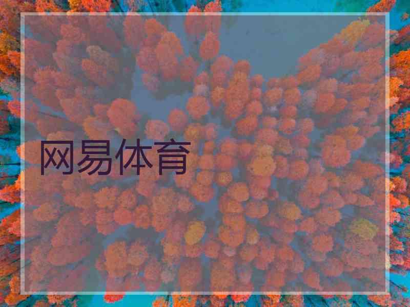 网易体育