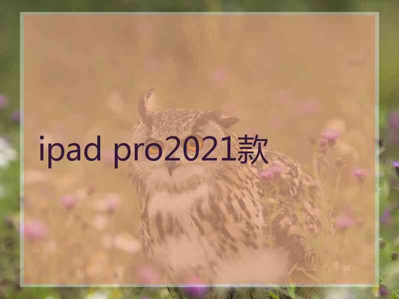 ipad pro2021款