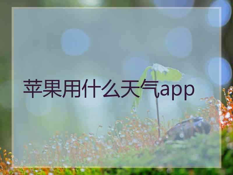 苹果用什么天气app