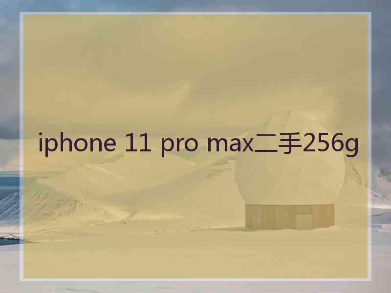 iphone 11 pro max二手256g