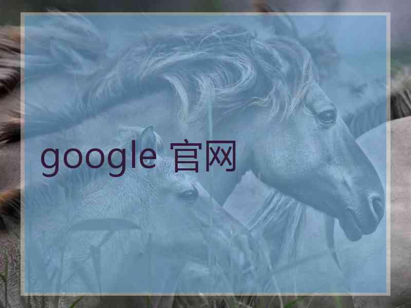 google 官网