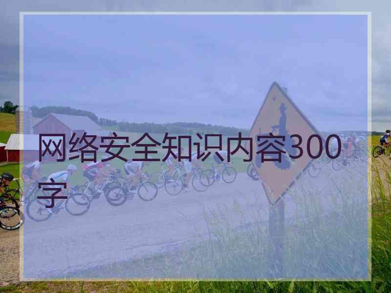 网络安全知识内容300字