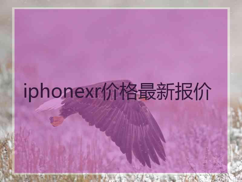 iphonexr价格最新报价